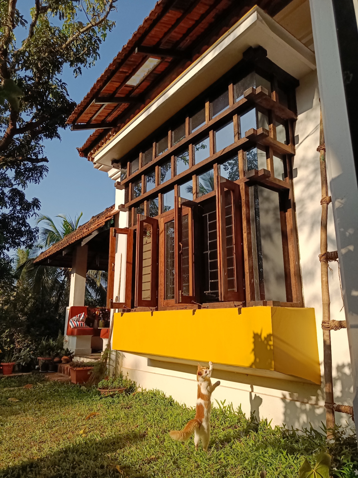 Casa Rocha — detail two