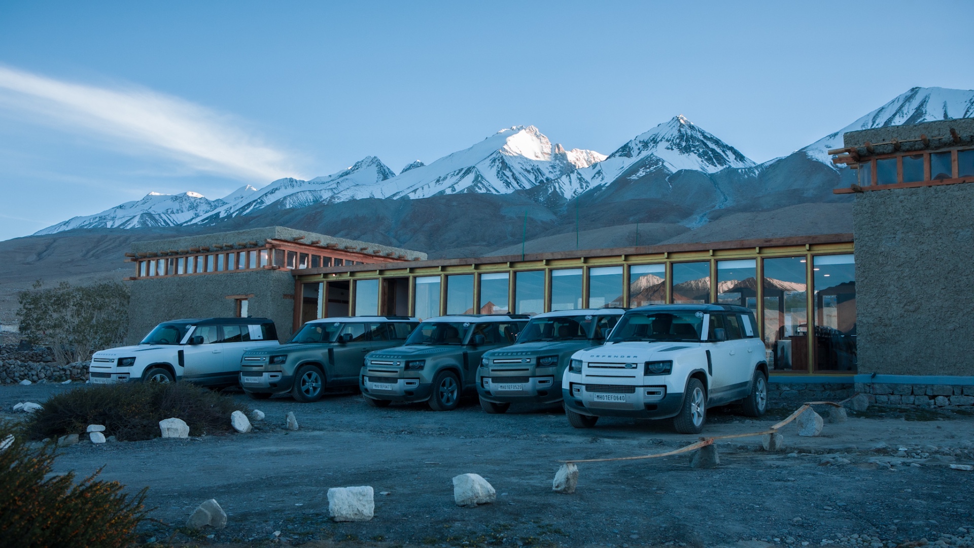 Pangong Merak — detail one
