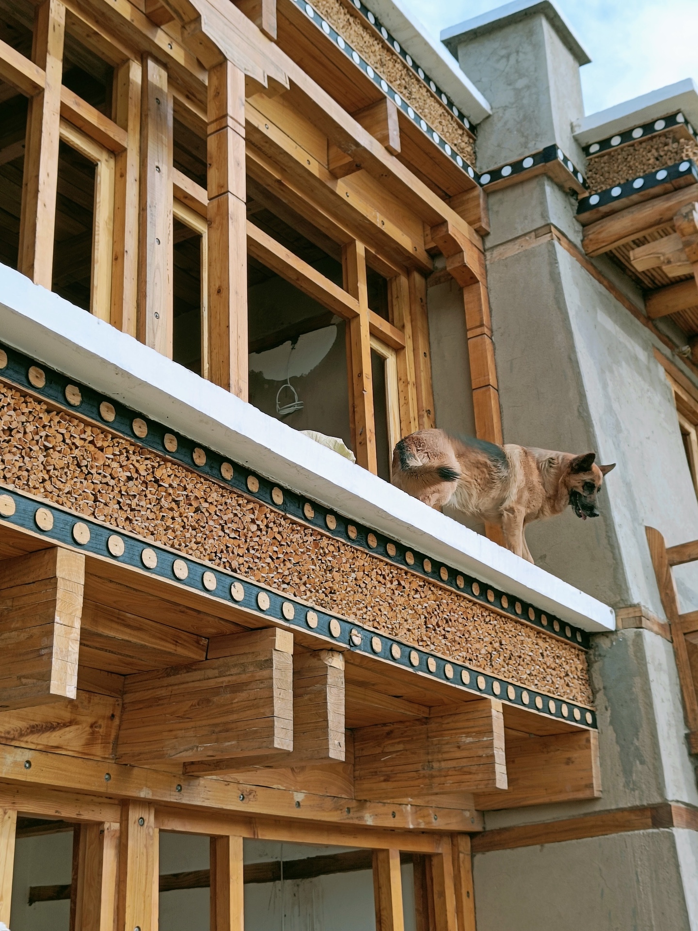Dakpa House — detail two