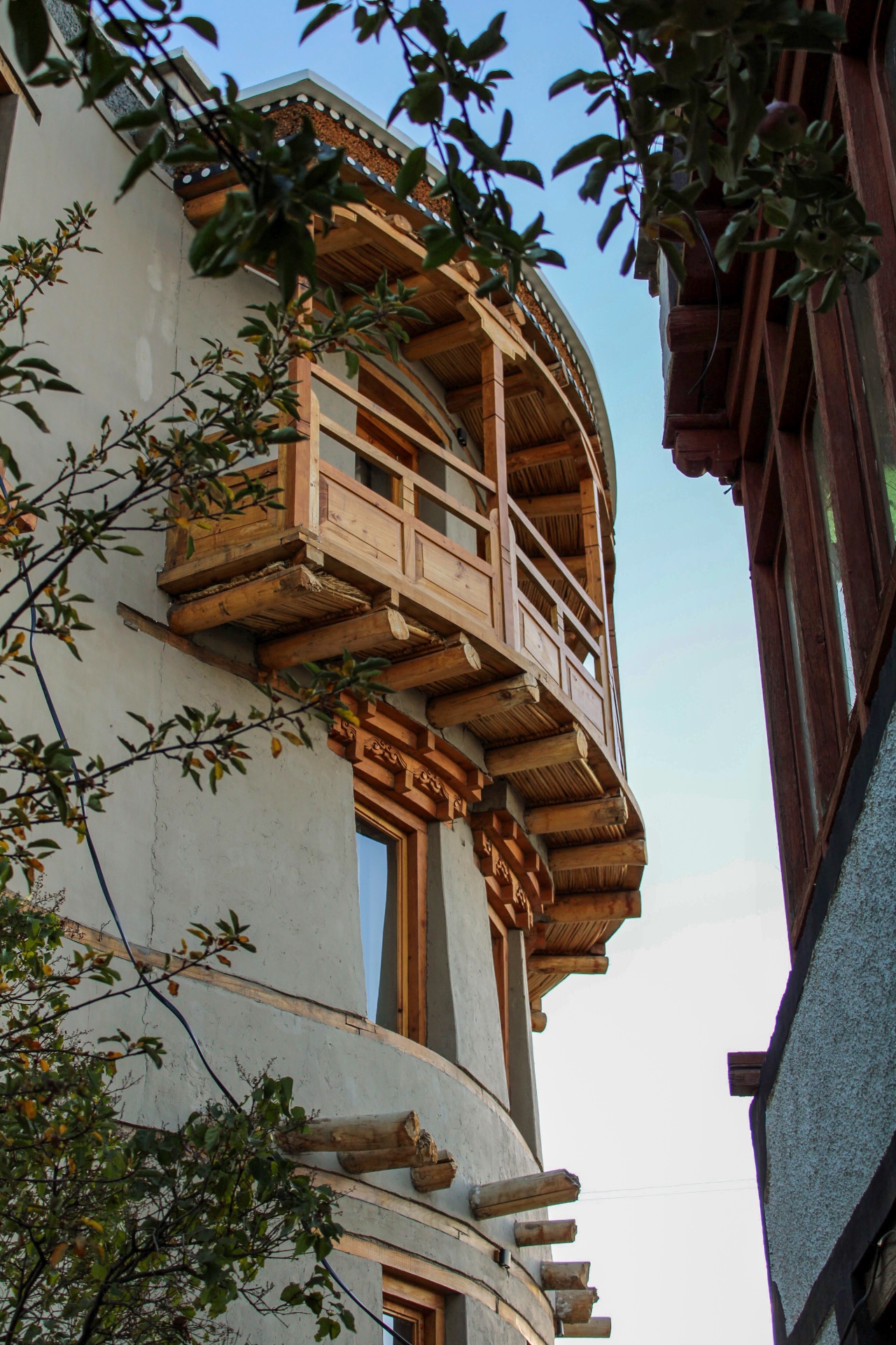 Dakpa House — detail one